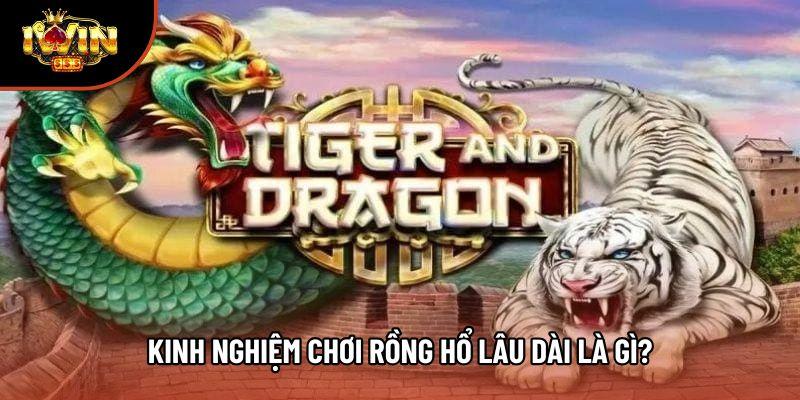 Kinh nghiệm chơi Rồng Hổ lâu dài là gì? Kinh nghiệm chơi Rồng Hổ lâu dài là gì?